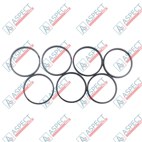 Piston Ring Bosch Rexroth R910921092 SKS
