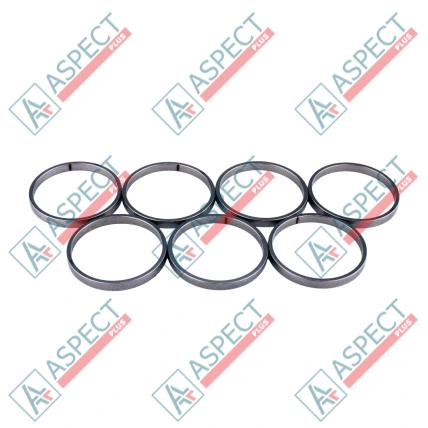 Bague de piston Bosch Rexroth R910921092 SKS
