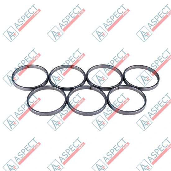 Piston Ring Bosch Rexroth R910921092 SKS