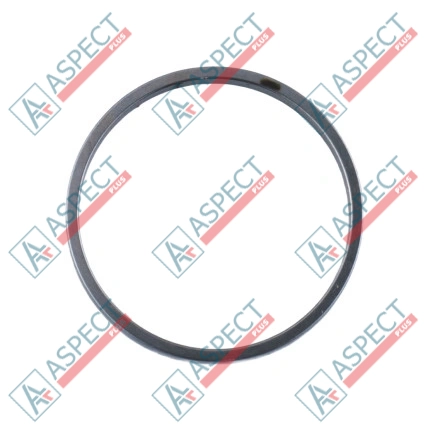 Bague de piston Bosch Rexroth R910921092 SKS
