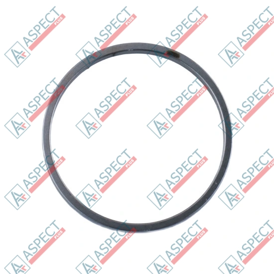 Piston Ring Bosch Rexroth R910921092 SKS