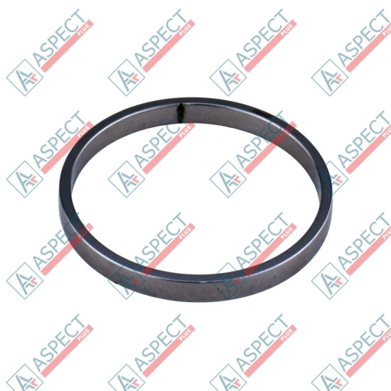 Piston Ring Bosch Rexroth R910921092 SKS