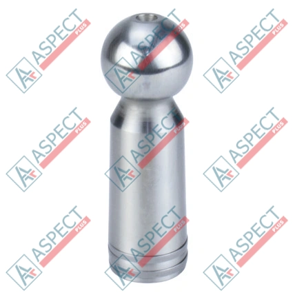 Piston Bosch Rexroth R902441091 SKS