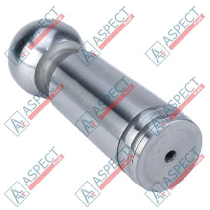 Piston Bosch Rexroth R902441091 SKS