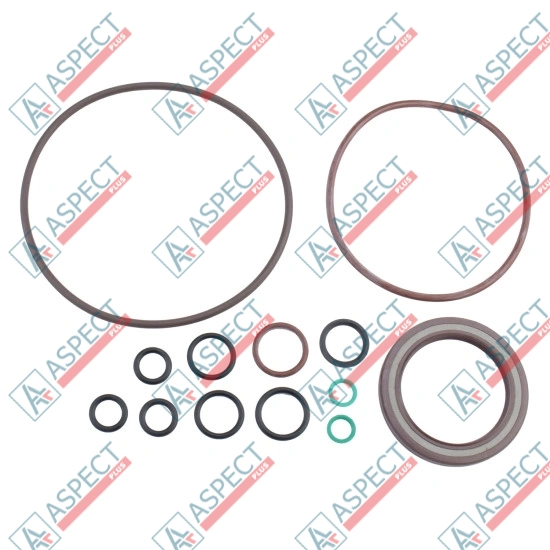 Seal kit pump full Bosch Rexroth R987053789 SKS