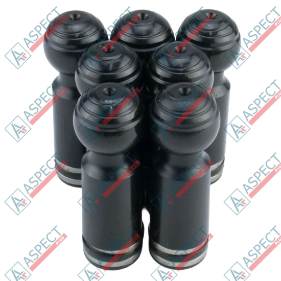 Piston black Bosch Rexroth R902021905 SKS