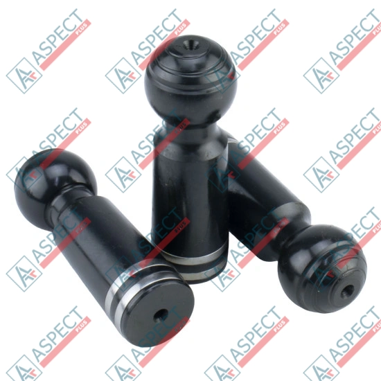 Piston black Bosch Rexroth R902021905 SKS