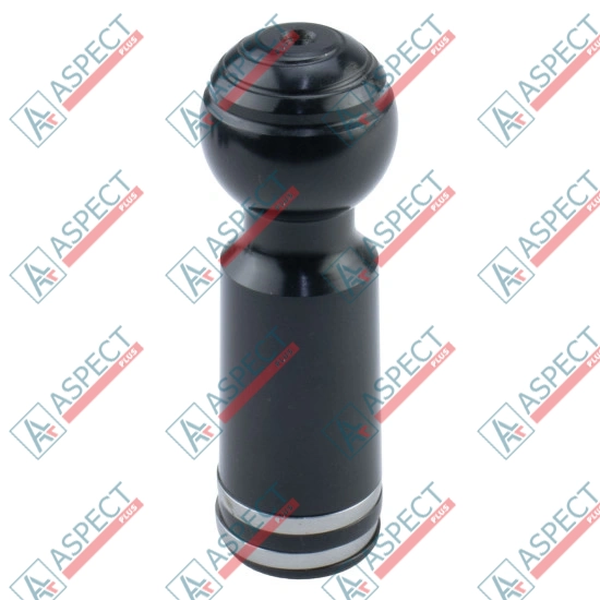 Piston black Bosch Rexroth R902021905 SKS