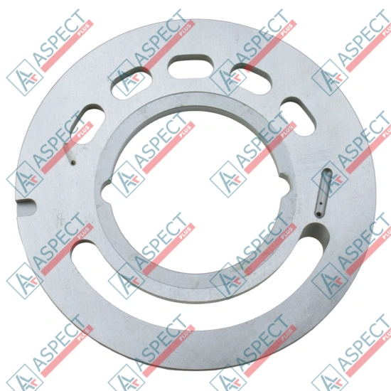 Valve plate Left bimetallic Bosch Rexroth R902451659 SKS