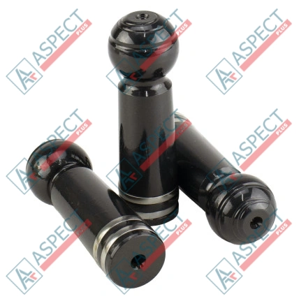 Piston Bosch Rexroth R902107522 SKS