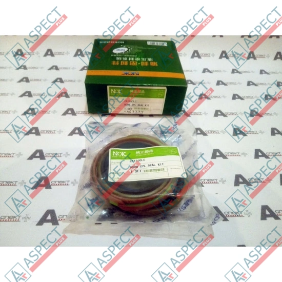 Seal Kit Hitachi (4467379) ZX160 AFM