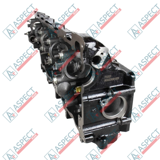 Cylinder Head Isuzu (8981706171) 4HK1 Hitachi, JCB AFM