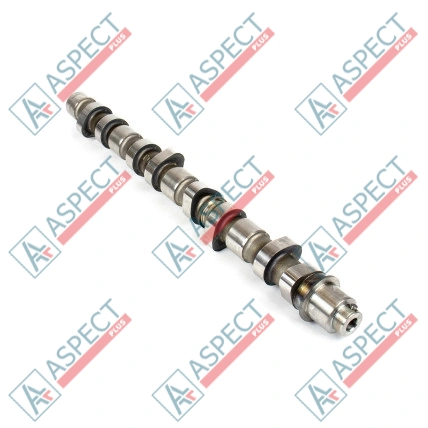 Arbre à cames Isuzu (8972621660) 4HK1 Hitachi, JCB Pièce OE