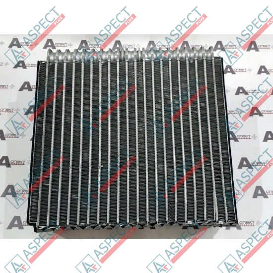 Evaporator Hitachi 4469056 AFM