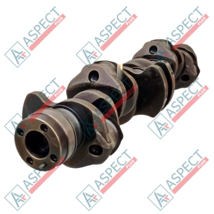 Vilebrequin Isuzu (8976030040) 6HK1, 6HE1 Hitachi, JCB QINGLING