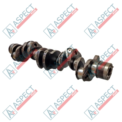 Vilebrequin Isuzu (8976030040) 6HK1, 6HE1 Hitachi, JCB QINGLING