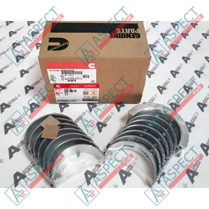 Crankshaft Bearing STD Cummins (4955352) 6BT, BTA5.9C Genuine
