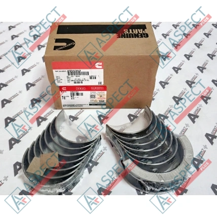 Crankshaft Bearing STD Cummins (4955352) 6BT, BTA5.9C Genuine