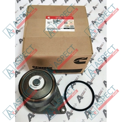 Bomba de agua Cummins (5473172) 6BT, BTA5.9C Pieza OE