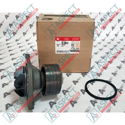Bomba de agua Cummins (5473172) 6BT, BTA5.9C Pieza OE