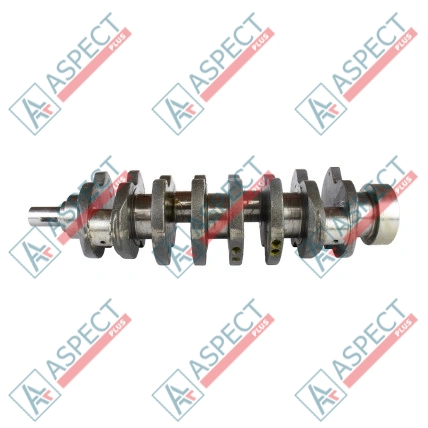 Vilebrequin Isuzu (8973888284) 4JJ1 Hitachi, JCB AFM