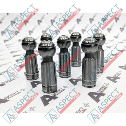 Piston Bosch Rexroth R902021901 HANDOK