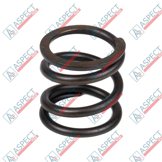 Spring of Rotor Bosch Rexroth R909449750 SKS