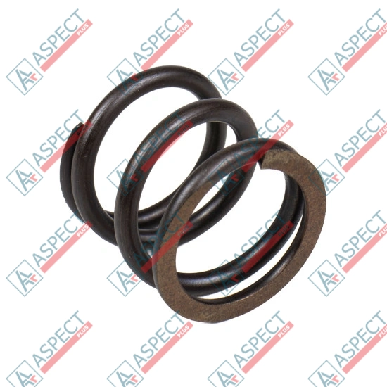 Spring of Rotor Bosch Rexroth R909449750 SKS