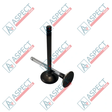 Inlet Valve Isuzu (8971021241) 4LB1, 4LC1, 3LA1 Hitachi, JCB Genuine
