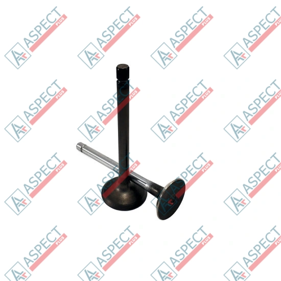Inlet Valve Isuzu (8971021241) 4LB1, 4LC1, 3LA1 Hitachi, JCB Genuine