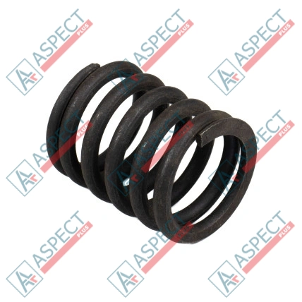 Muelle del rotor Bosch Rexroth R909921997 SKS