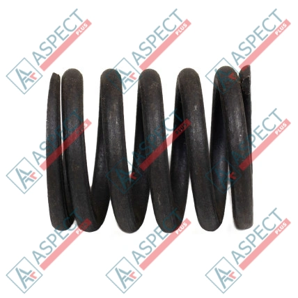 Muelle del rotor Bosch Rexroth R909921997 SKS