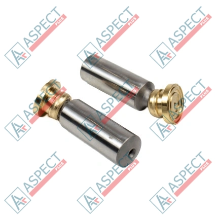 Sabot de piston Bosch Rexroth R909430367 SKS
