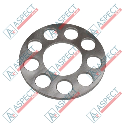 Plaque de maintien Bosch Rexroth R902205455 SKS