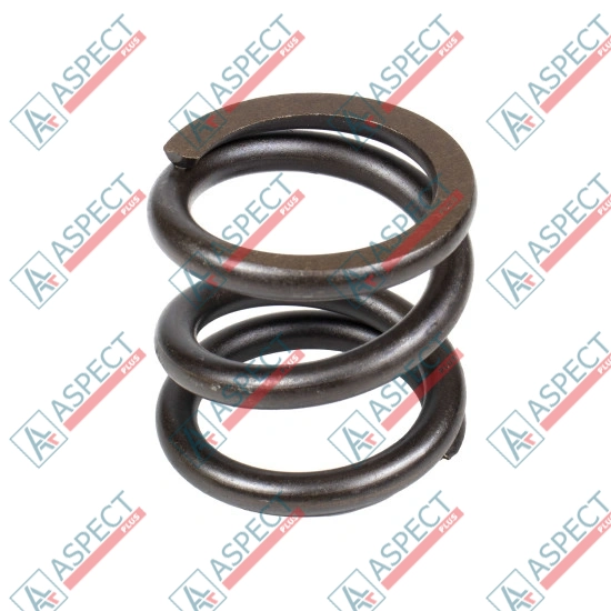 Spring of Rotor Bosch Rexroth R909435649 SKS