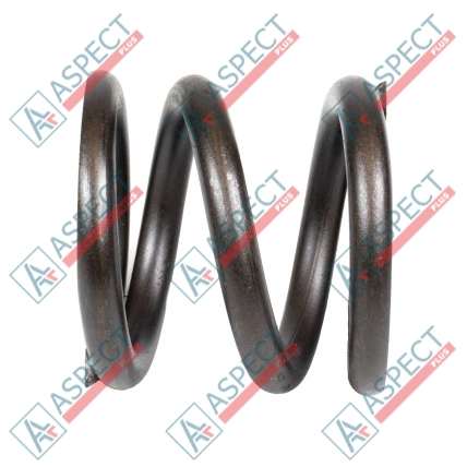 Feder des Rotors Bosch Rexroth R909435649 SKS