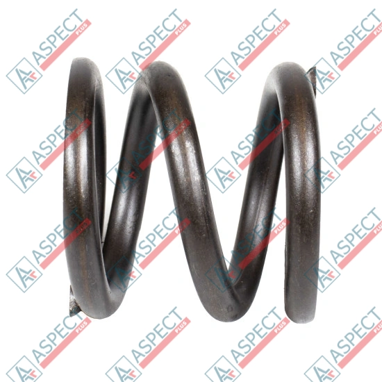 Spring of Rotor Bosch Rexroth R909435649 SKS