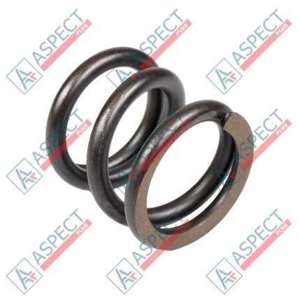 Feder des Rotors Bosch Rexroth R909435649 SKS