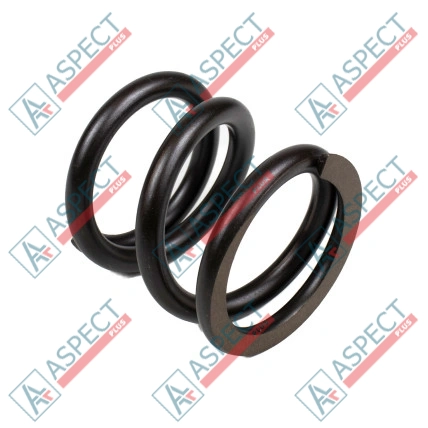 Ressort du rotor Bosch Rexroth R909435465 SKS