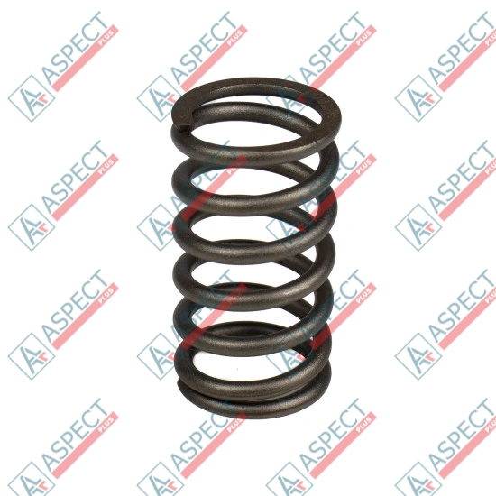 Spring of Rotor Bosch Rexroth R910924891 SKS