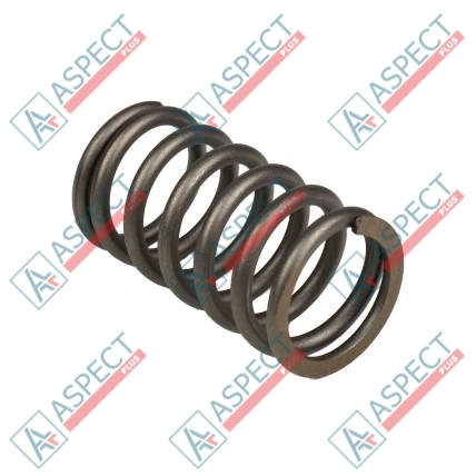 Ressort du rotor Bosch Rexroth R910924891 SKS
