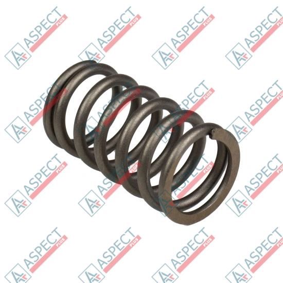 Spring of Rotor Bosch Rexroth R910924891 SKS