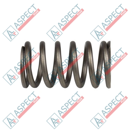 Ressort du rotor Bosch Rexroth R910924891 SKS