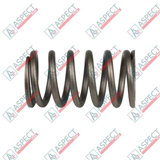 Spring of Rotor Bosch Rexroth R910924891 SKS