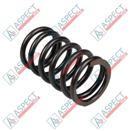 Ressort du rotor Bosch Rexroth R910975251 SKS