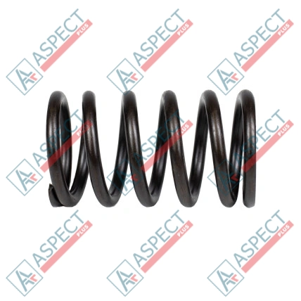 Ressort du rotor Bosch Rexroth R910975251 SKS
