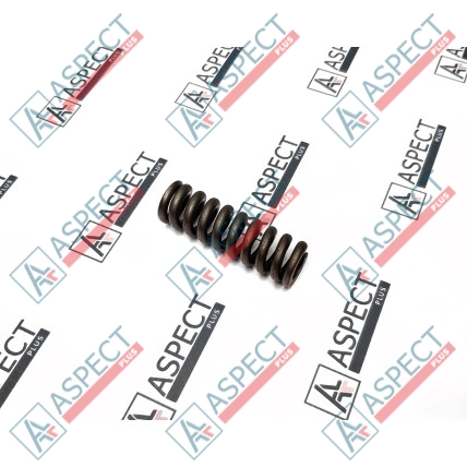 Feder für Zentrierstift Bosch Rexroth R909921782 HANDOK