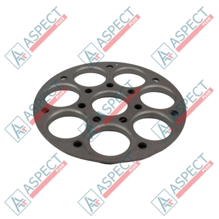 Placa de retención Bosch Rexroth R902072553 SKS