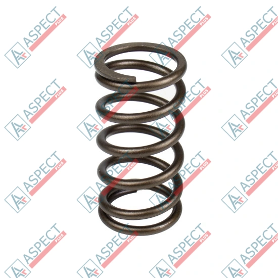 Spring of Rotor Bosch Rexroth R902400724 SKS