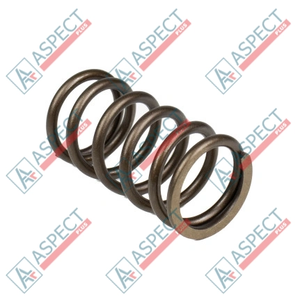 Feder des Rotors Bosch Rexroth R902400724 SKS